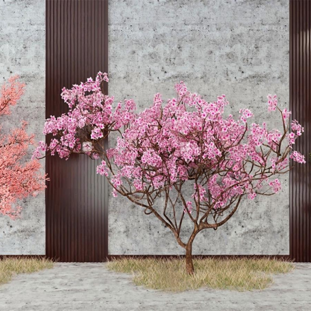 景观树3D模型